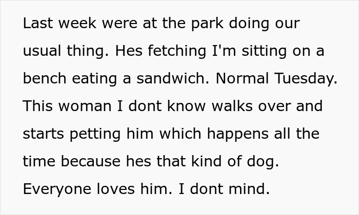Text from social media post describing dog owner&rsquo;s experience at park, involving racist complaint and animal control.