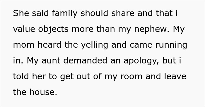 Freelance Designer Watches Her $2K Laptop Nearly Ruined By 5YO Cousin, Kicks Him And His Mom Out