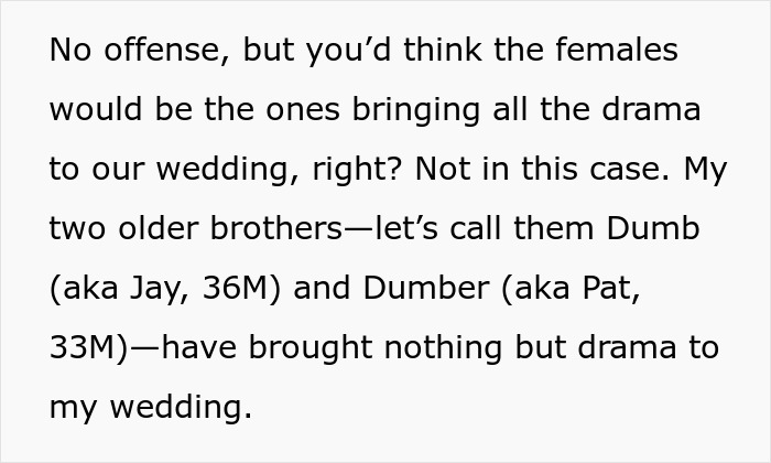 Text excerpt describing groom's brothers causing drama at wedding and throwing a baby shower on the same day.