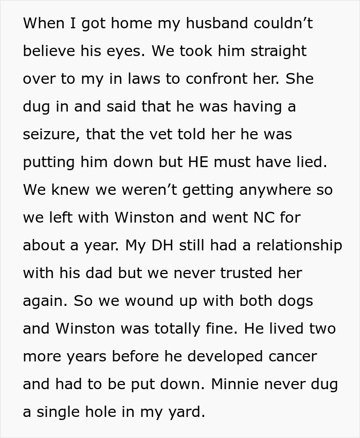 Text about MIL pretending dog passed away to get rid of him, family finds dog safe, revealing shelter and vet details.