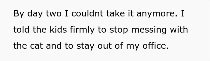 Text excerpt showing frustration with kids, related to no consequences parenting and sibling kicking out brother and his kids.