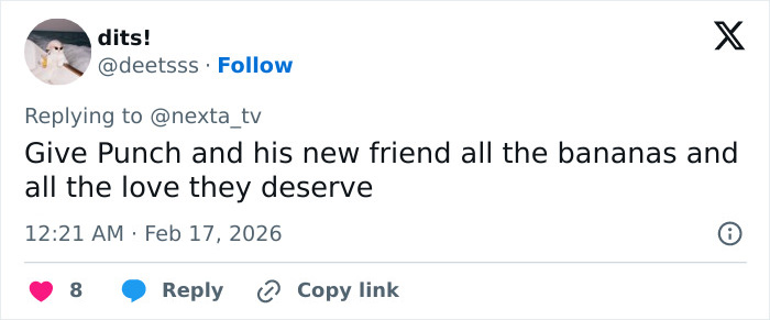 Tweet showing support for baby monkey with stuffed toy after being abandoned, urging to give love and bananas.