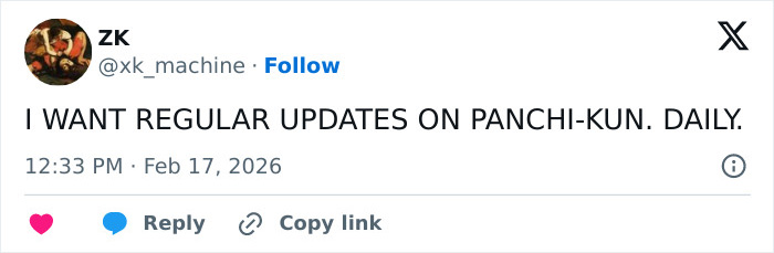 Baby monkey holding a stuffed toy, looking sad and abandoned, capturing a heartbreaking viral moment.