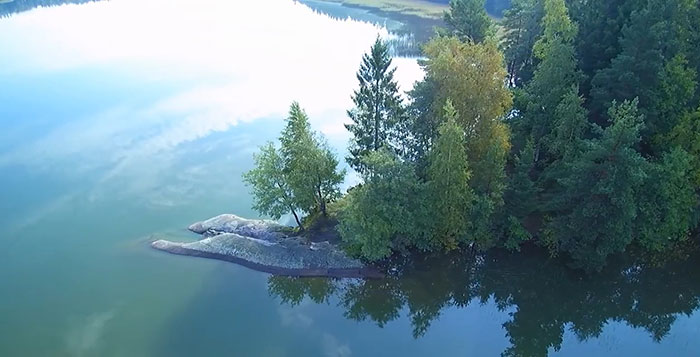 A tranquil lake with dense trees on the shore reflecting in the water, evoking nature and unsolved mysteries.