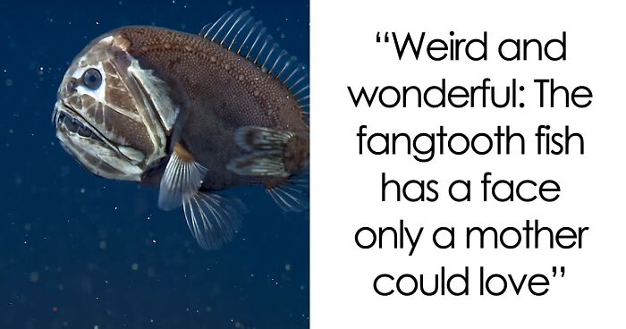 71 Terrifying Pics That Might Make You Afraid Of The Ocean