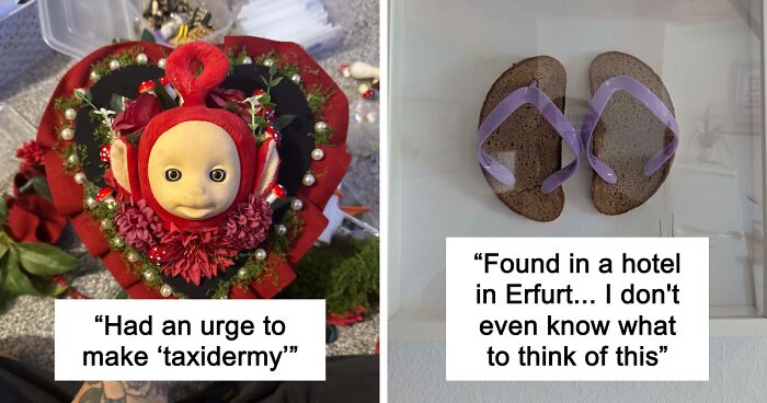 55 Times Someone’s DIY Project Ended Up Deeply Cursed