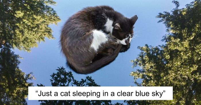 67 Photos That Might Make You Look Twice (New Pics)