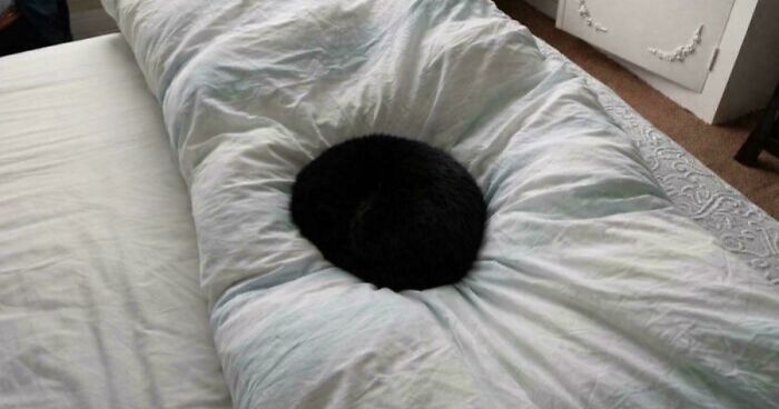 67 Photos That Might Make You Look Twice (New Pics)