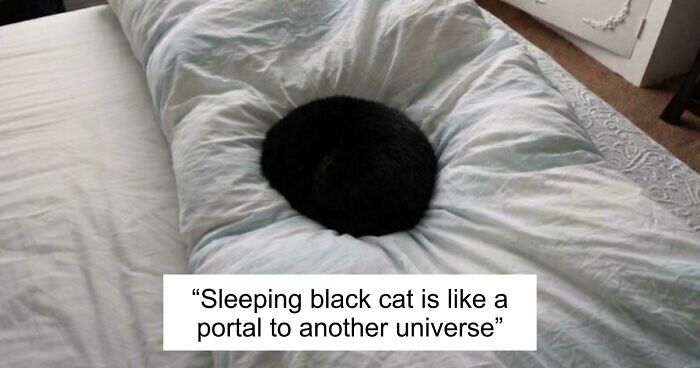 67 Photos That Might Make You Look Twice (New Pics)