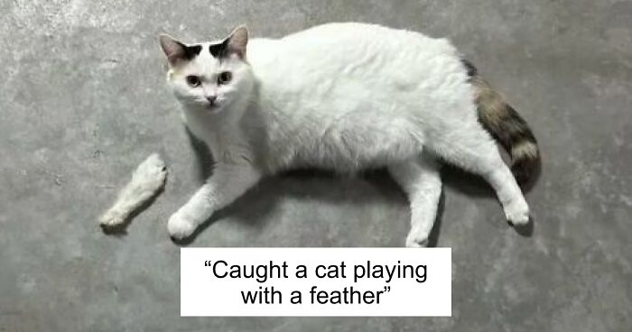 67 Photos That Might Make You Look Twice (New Pics)