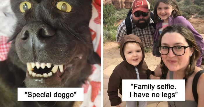 67 Photos That Might Make You Look Twice (New Pics)