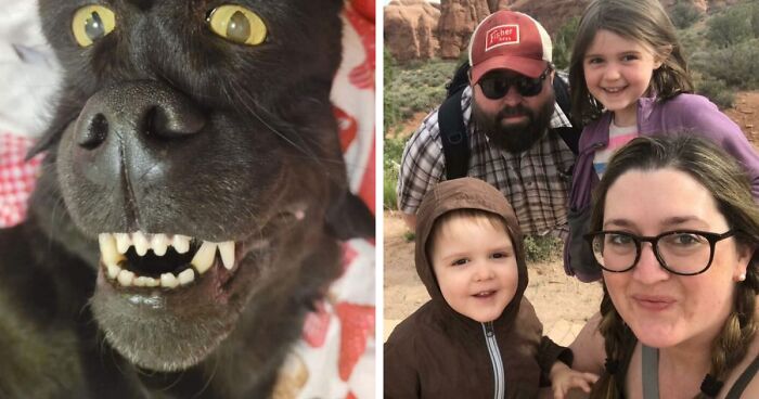 67 Photos That Might Make You Look Twice (New Pics)