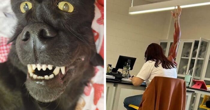 67 Photos That Might Make You Look Twice (New Pics)