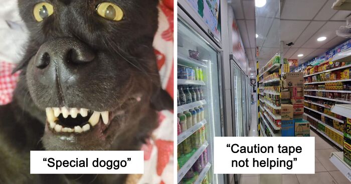 67 Photos That Might Make You Look Twice (New Pics)