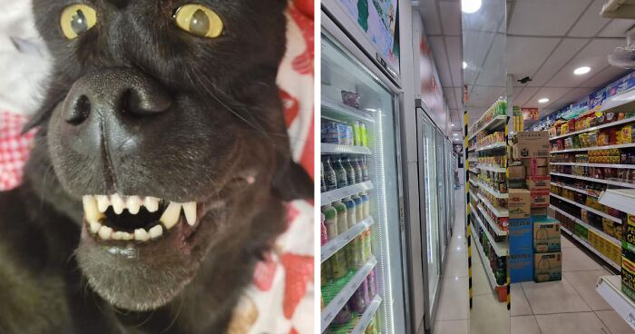 67 Photos That Might Make You Look Twice (New Pics)