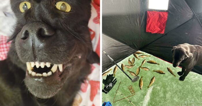 “Had To Do A Double Take”: 67 Wild Pics That Prove It’s All About Perspective (New Pics)