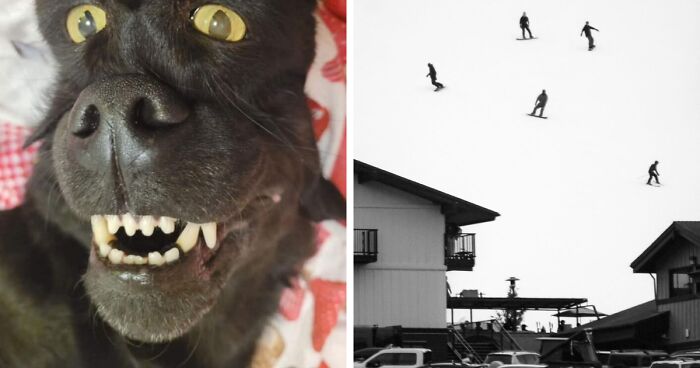 67 Photos That Might Make You Look Twice (New Pics)