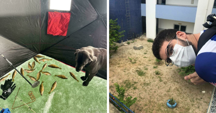 67 Photos That Might Make You Look Twice (New Pics)