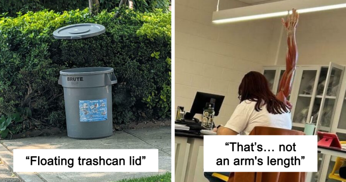 67 Photos That Might Make You Look Twice (New Pics)