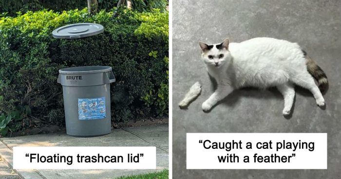 67 Photos That Might Make You Look Twice (New Pics)