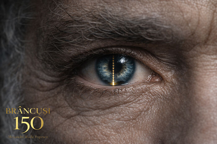 I Explored Br&acirc;ncuși&rsquo;s Vision Through A Human Iris Here&rsquo;s The Story Behind This Portrait