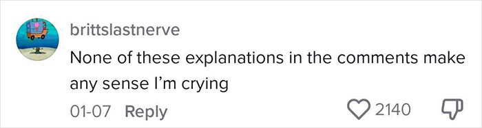 Commenter expressing confusion and frustration while reacting to explanations about dealing with lost children online.