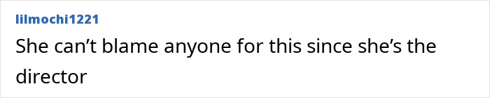 Comment from user lilmochi1221 saying she can’t blame anyone since she’s the director, discussing concept rip accusations.
