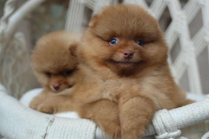 51 Red Flags That Got People Running Away After The First Date