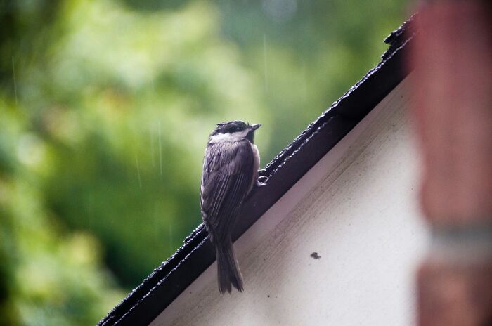 50 Secrets People Are Taking Straight To Their Graves