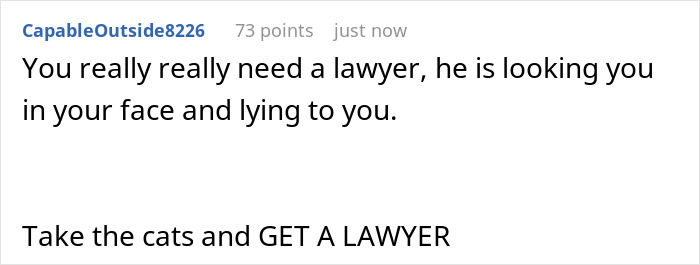 Reddit comment urging to take cats and get a lawyer about jailed hubby&rsquo;s cats and estranged wife discovering a black thong.