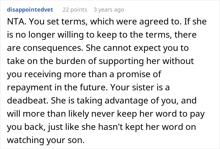 ALT text: Reddit comment discussing sister refusing to babysit and woman being child-free and setting boundaries.
