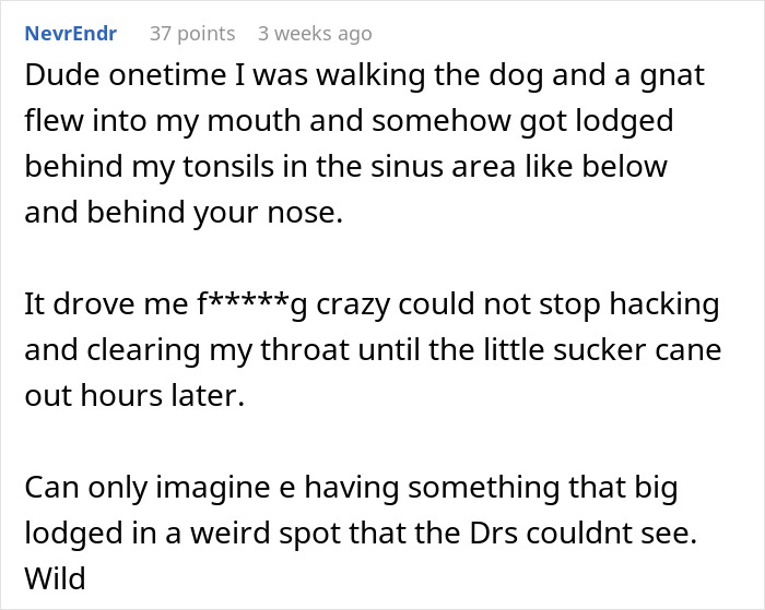 Comment discussing a man&rsquo;s experience with throat pain caused by a lodged gnat in his sinus area affecting his throat.