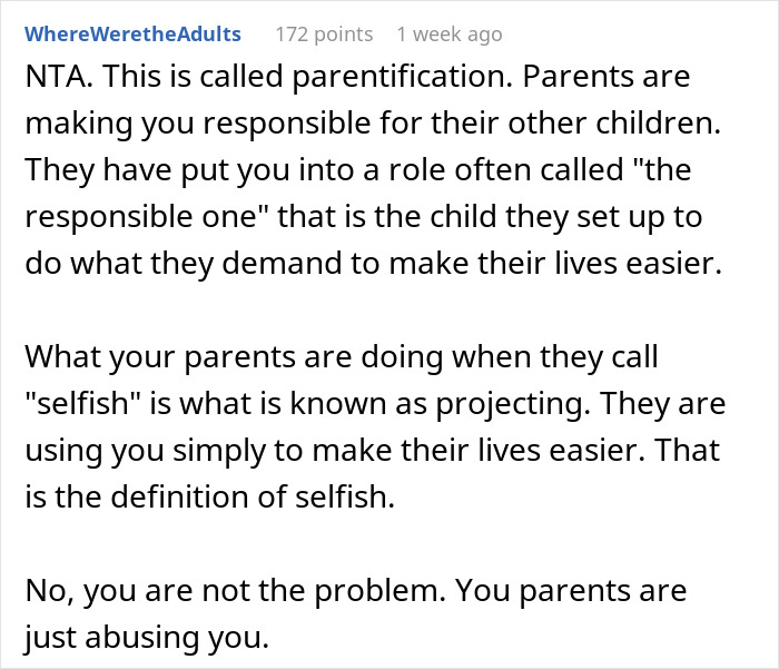 Reddit user explains parentification and family dynamics causing sister family parenting drama in a detailed text post.