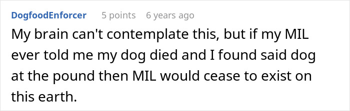 Reddit comment reacting to MIL pretending dog passed away, shocked family finds dog later at the animal shelter.