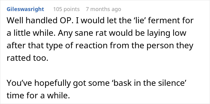 Screenshot of a Reddit comment discussing family conflict after granddaughter comes out as a lesbian and CPS involvement.