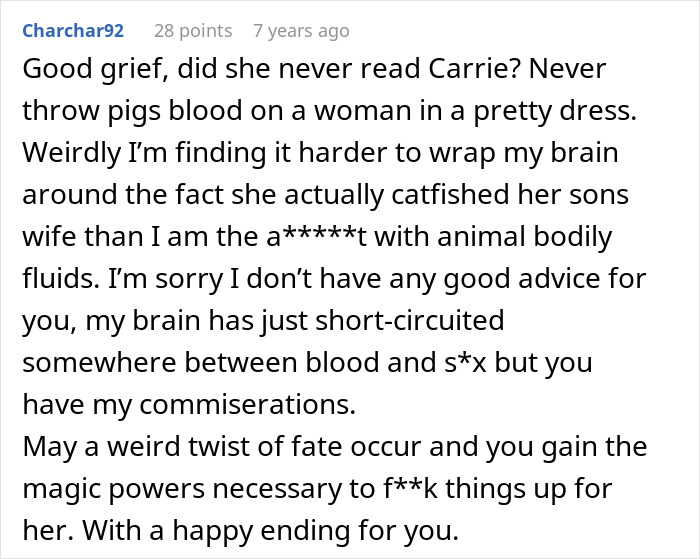 Comment discussing a MIL trying to catfish a woman to prove cheating, highlighting a bizarre and backfiring situation.
