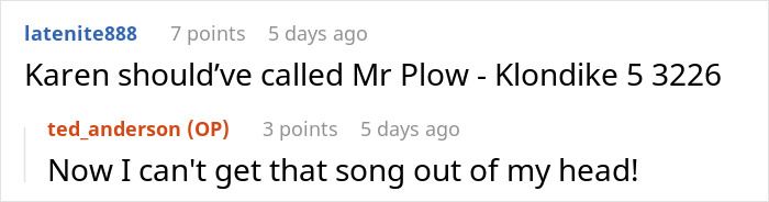 Guy Shovels Snow For Elderly Neighbor, Random Lady Decides He&rsquo;s The HOA And Orders Her Walkway Done