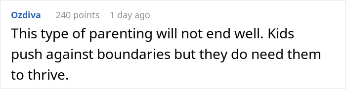 Comment highlighting the consequences of no boundaries in parenting, relating to sibling conflicts and family issues.