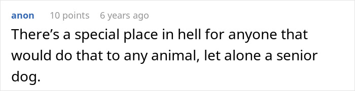 Comment expressing strong disapproval of MIL pretending senior dog passed away to get rid of him.