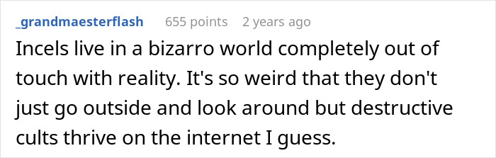 Screenshot of a Reddit comment describing how incels live in a detached, destructive online world far from reality.