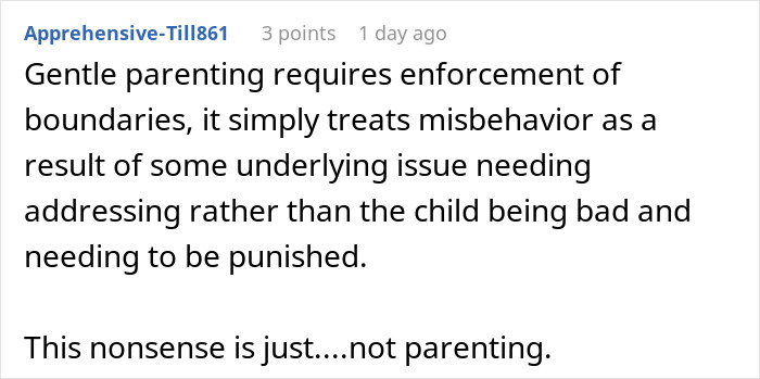 Comment discussing consequences of no consequences parenting and its impact on sibling and brother relationship.