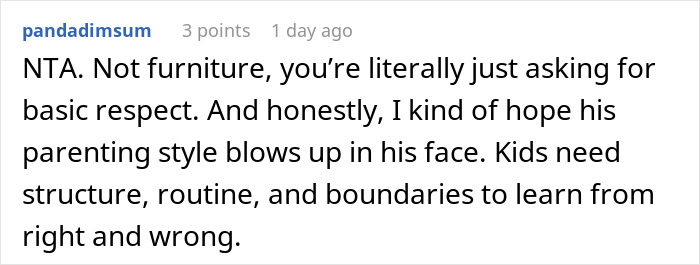 Reddit comment discussing no consequences parenting and its effects on sibling kicking out brother and his kids.