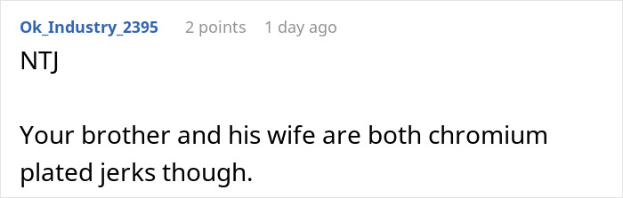 Screenshot of a Reddit comment criticizing brother's parenting and mentioning no consequences leading to family conflict.