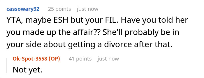 Online chat discussion about a cheating husband&rsquo;s mom defending him, leading to conflict with in-laws over accusations.