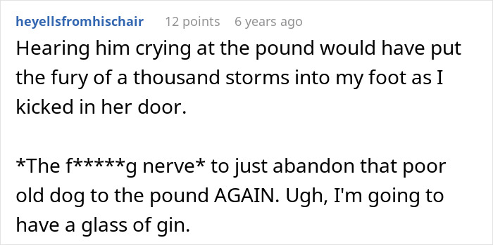 Comment expressing anger about a mother-in-law pretending a dog passed away and abandoning him at the shelter again.