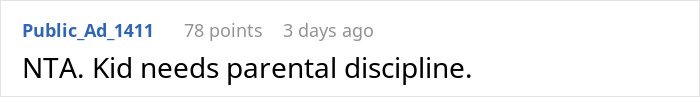 Screenshot of an online comment stating NTA with a message about a kid needing parental discipline. Screenshot of an online comment stating NTA with a message about a kid needing parental discipline.