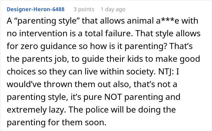 Comment discussing no consequences parenting causing sibling conflict and a brother being kicked out with his kids.
