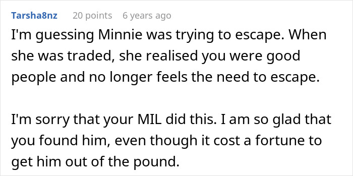 Comment discussing MIL pretending dog passed away, family finding dog at shelter, and costly rescue efforts.