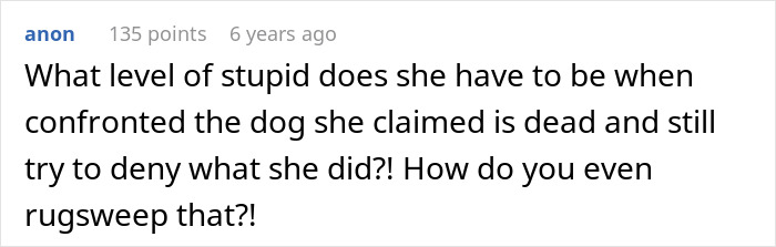 Comment discussing disbelief at MIL pretending dog passed away and denying it when confronted by family at the shelter.