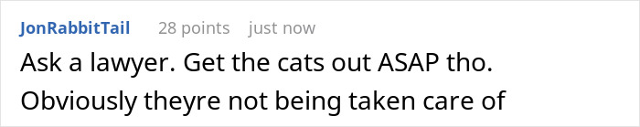 Comment about estranged wife checking on jailed hubby&rsquo;s cats, noting neglect and urgency to get cats out.